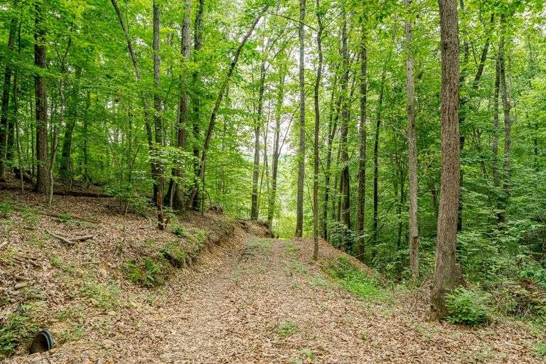 38+ Wooded Acres, Vacant Land Derby, IN