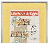 Mail Pouch Tobacco & Purina Chicken Feed Framed Advertisements