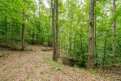 38+ Wooded Acres, Vacant Land Derby, IN