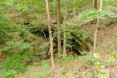 38+ Wooded Acres, Vacant Land Derby, IN