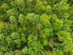 38+ Wooded Acres, Vacant Land Derby, IN