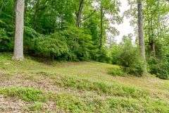 38+ Wooded Acres, Vacant Land Derby, IN