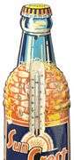 Sun Crest Bottle Thermometer