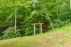 38+ Wooded Acres, Vacant Land Derby, IN