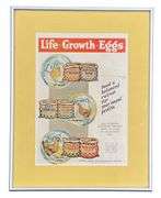 Mail Pouch Tobacco & Purina Chicken Feed Framed Advertisements
