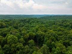 38+ Wooded Acres, Vacant Land Derby, IN