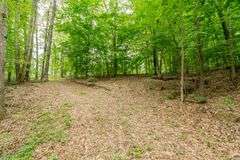 38+ Wooded Acres, Vacant Land Derby, IN