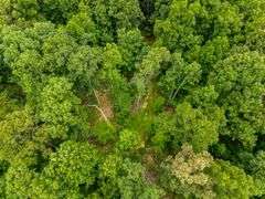 38+ Wooded Acres, Vacant Land Derby, IN