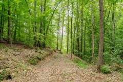 38+ Wooded Acres, Vacant Land Derby, IN