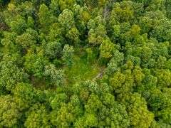 38+ Wooded Acres, Vacant Land Derby, IN