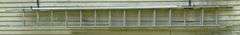 Aluminum 22' Extension Ladder