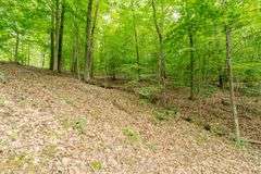 38+ Wooded Acres, Vacant Land Derby, IN