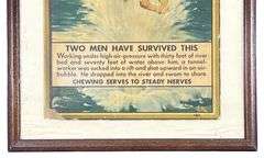 Mail Pouch Tobacco & Purina Chicken Feed Framed Advertisements
