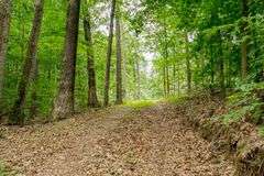 38+ Wooded Acres, Vacant Land Derby, IN