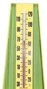 Sprite Thermometer