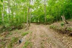 38+ Wooded Acres, Vacant Land Derby, IN