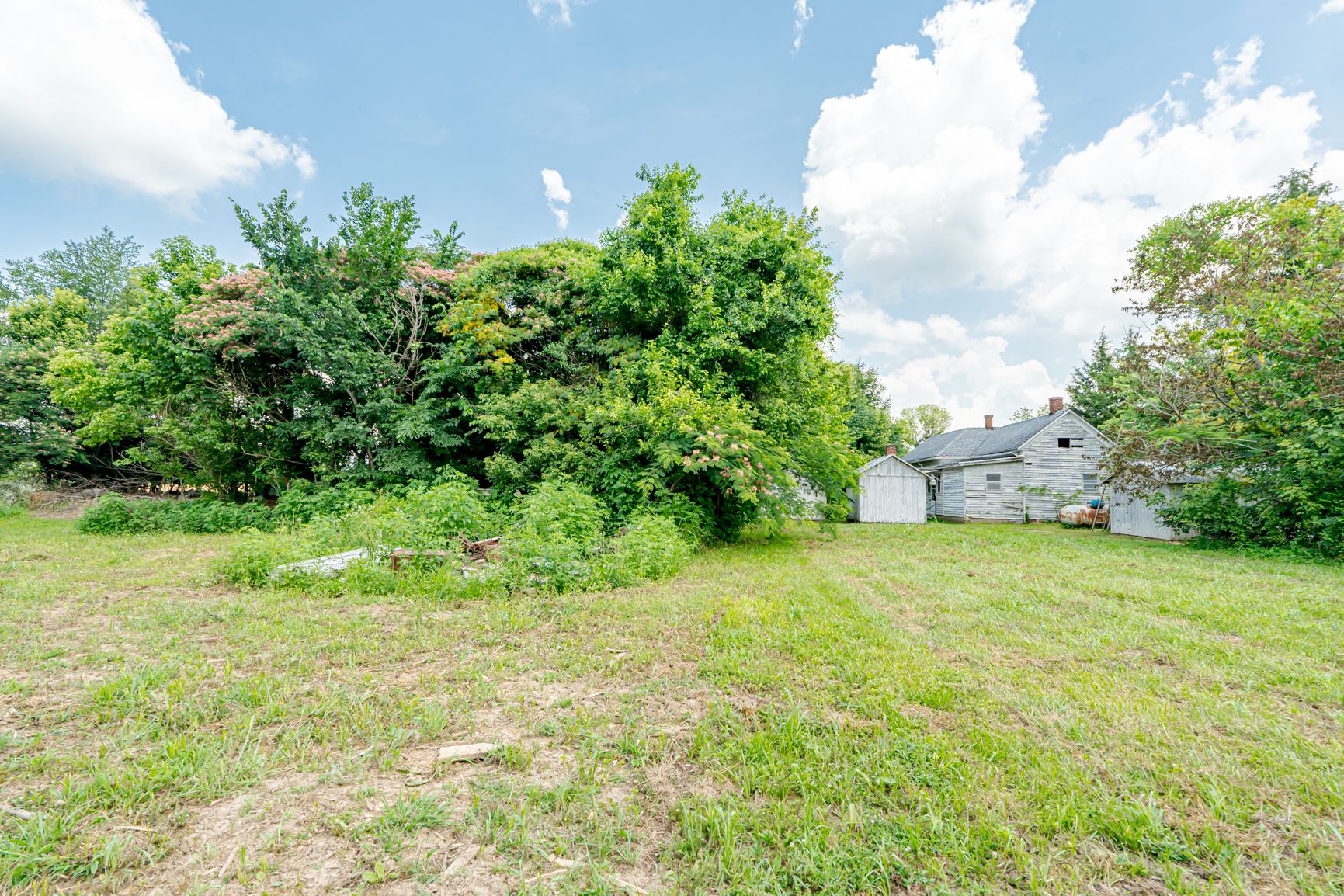 Lot image 11