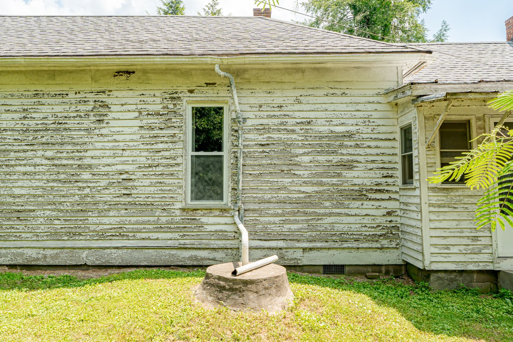 Lot image 19