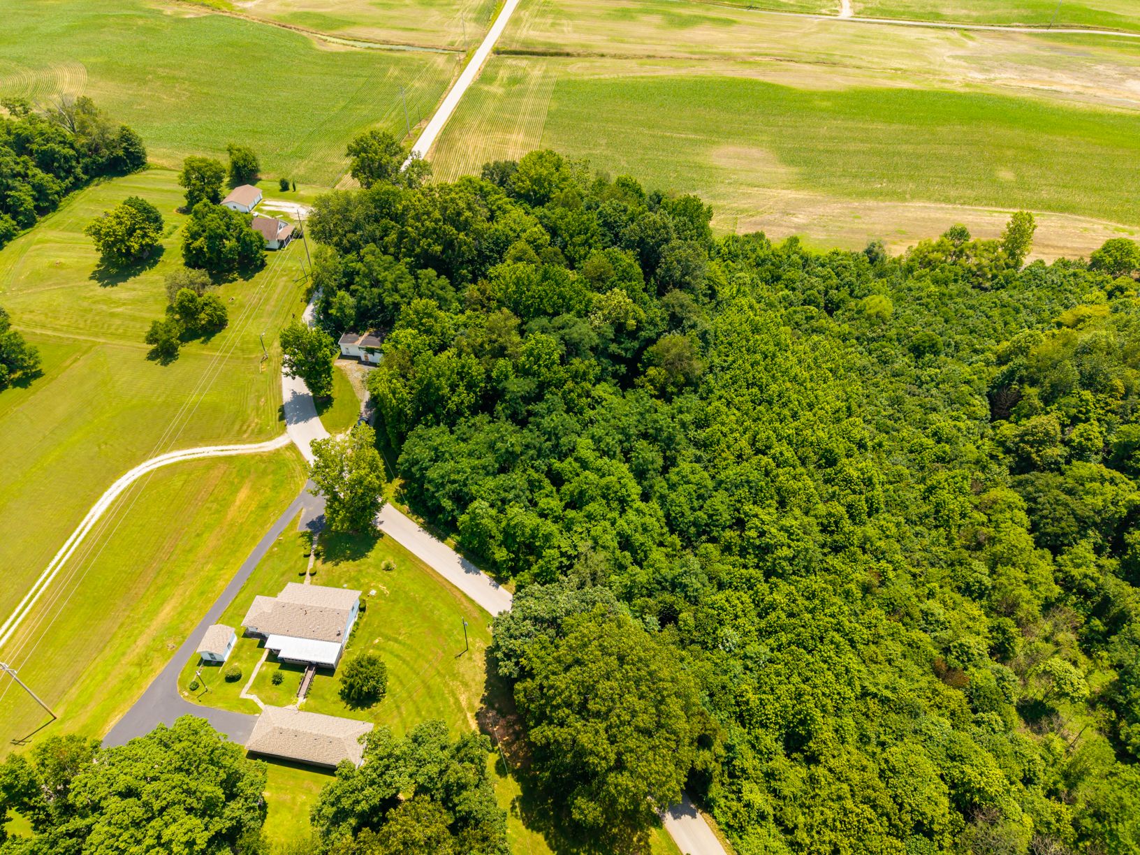 Lot image 6