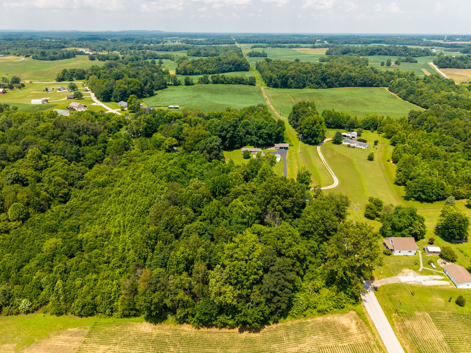 Lot image 10