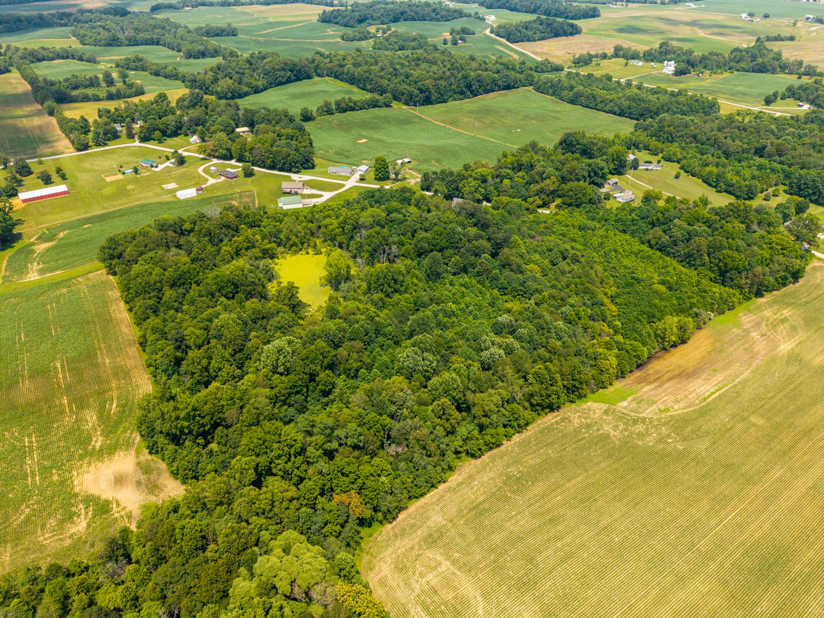 Lot image 18