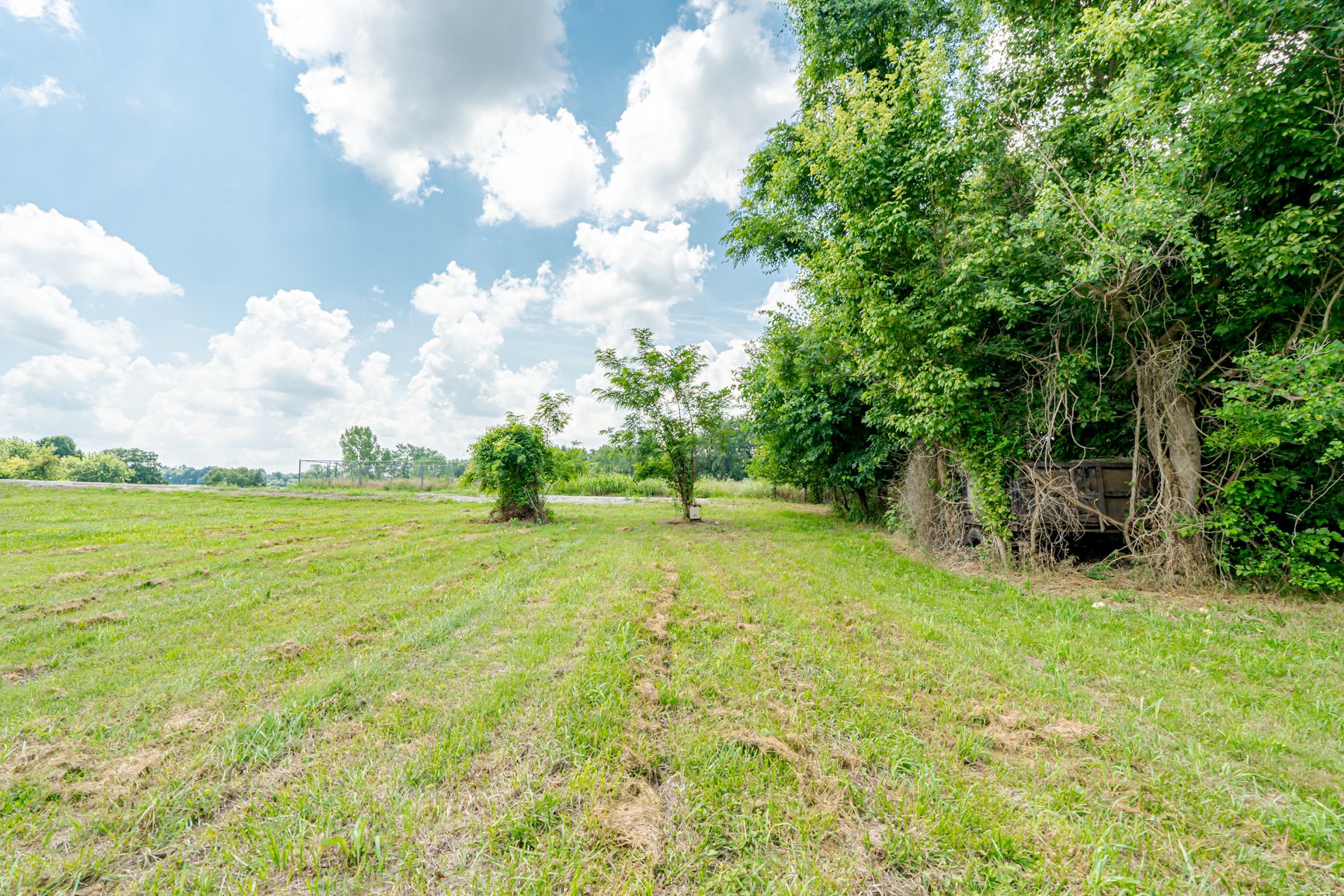 Lot image 8