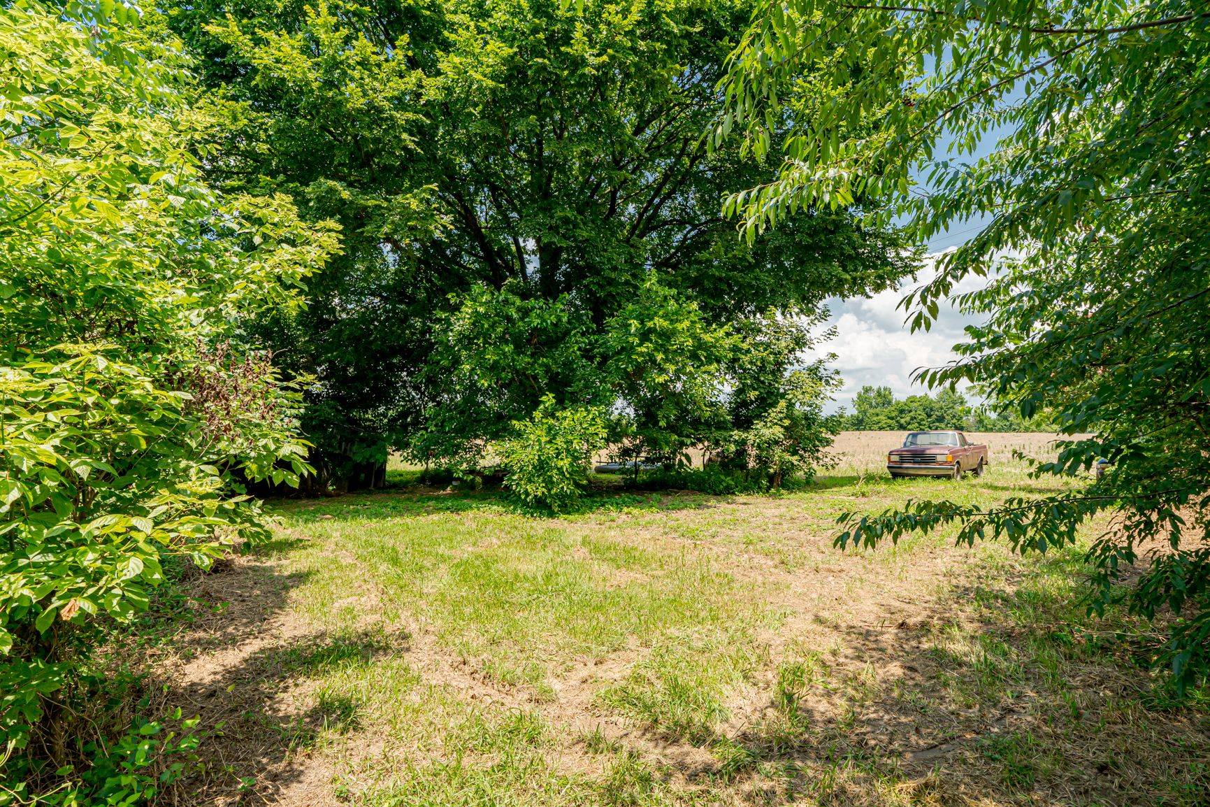 Lot image 29