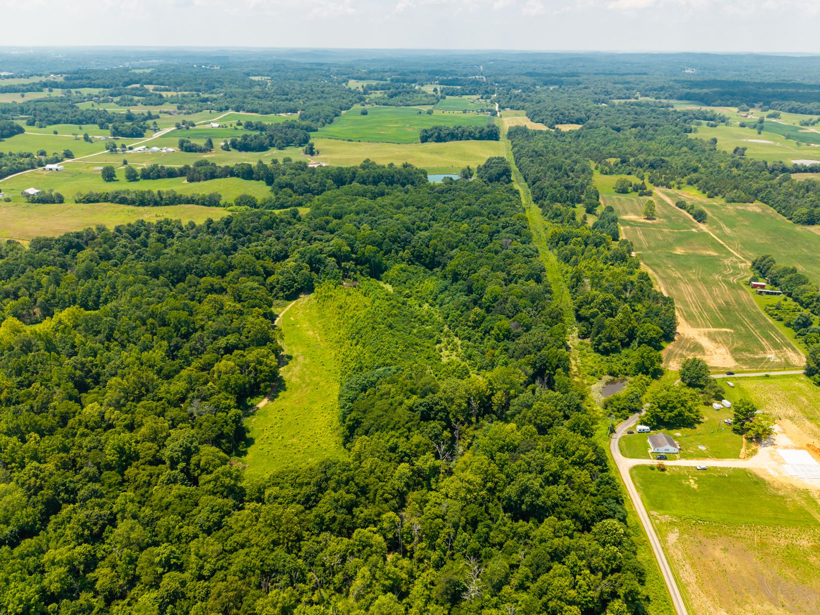 Lot image 7
