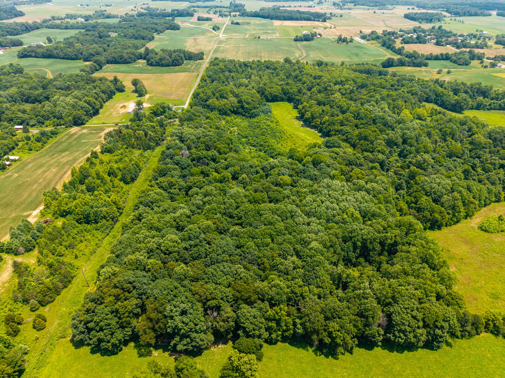 Lot image 10