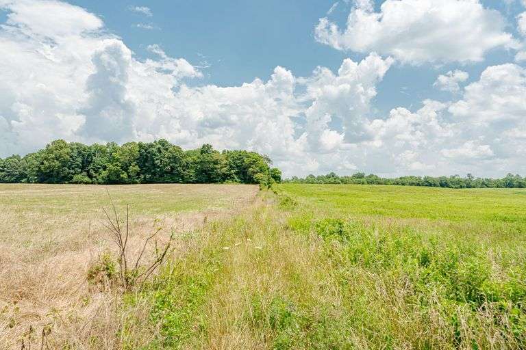 10895 N Tobacco Landing Rd Laconia, IN 47135