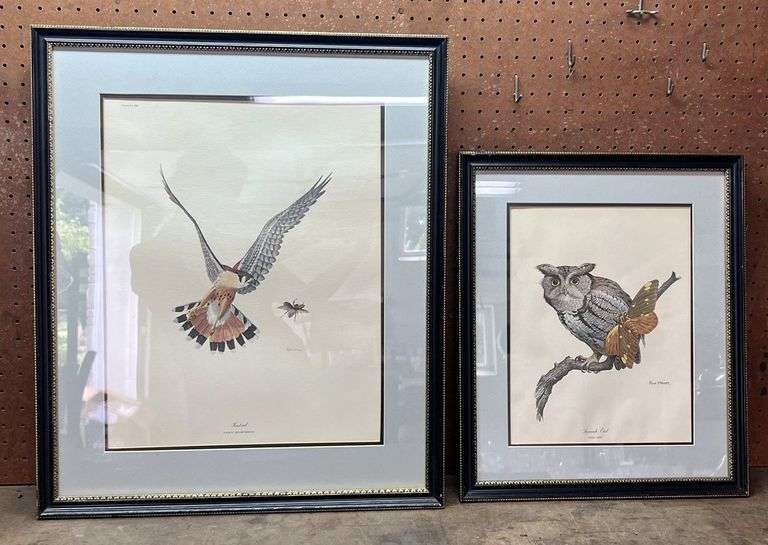 Screech Owl & Kestrel Ray Harm Framed Prints