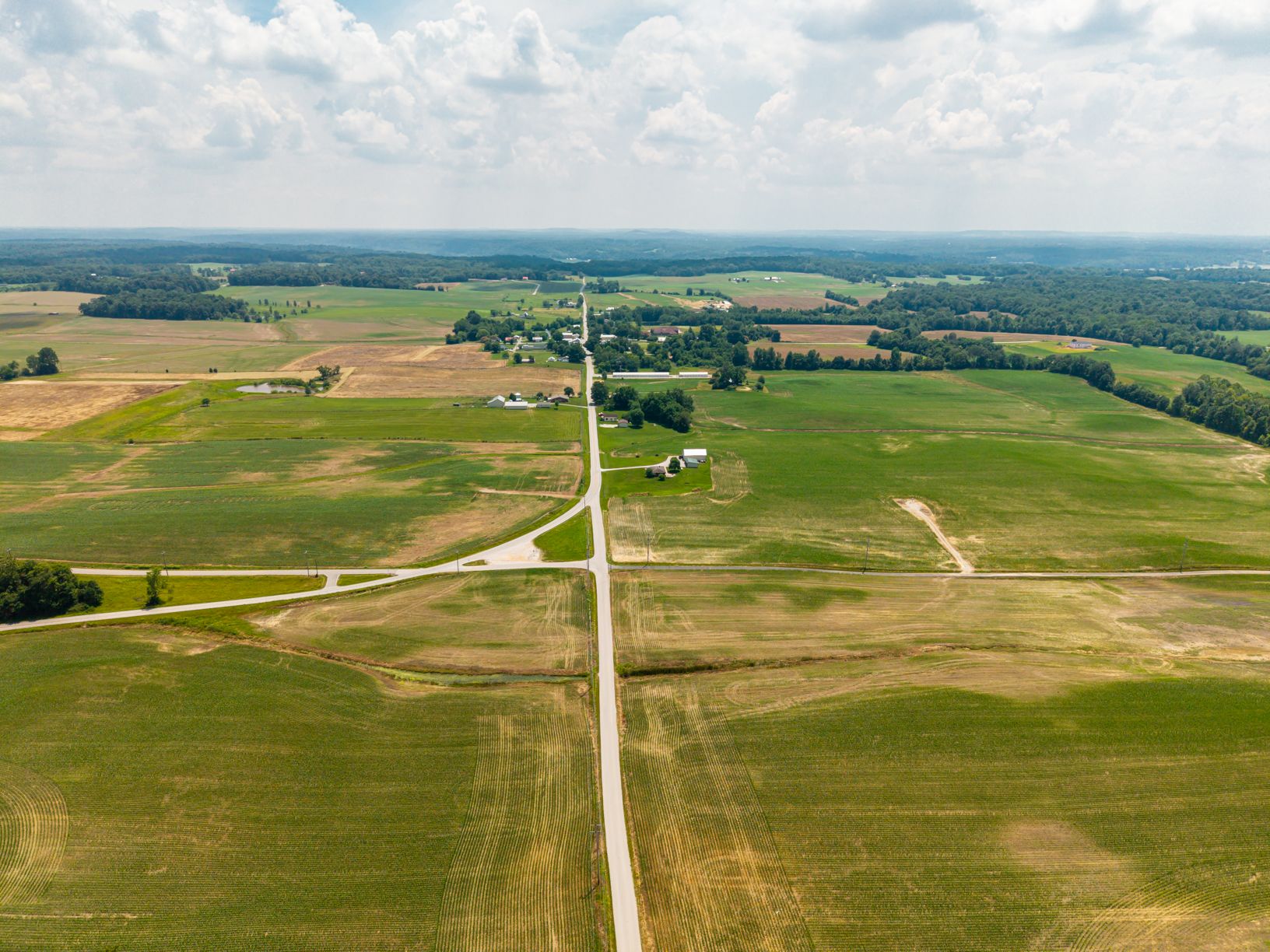 Lot image 14