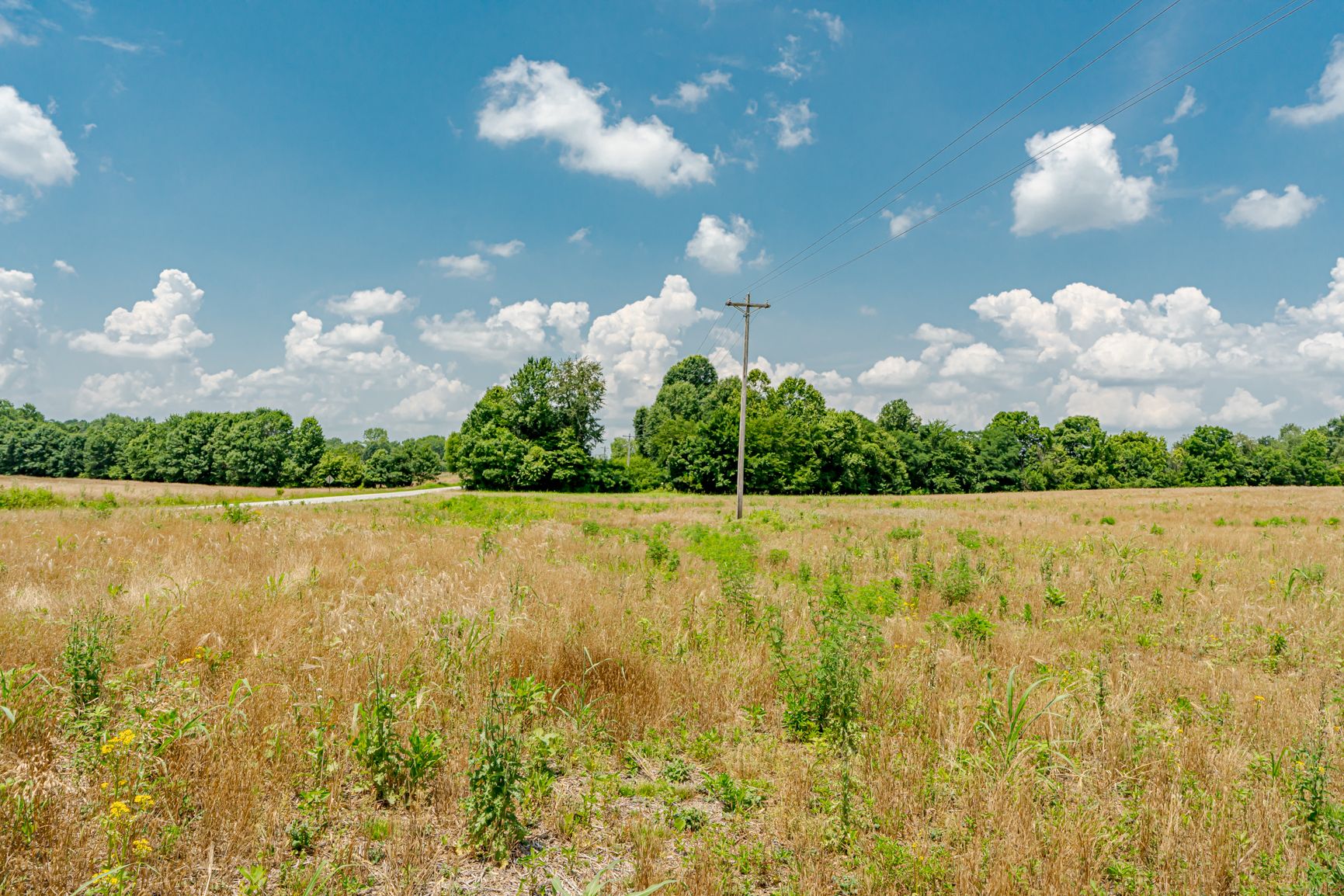 Lot image 4