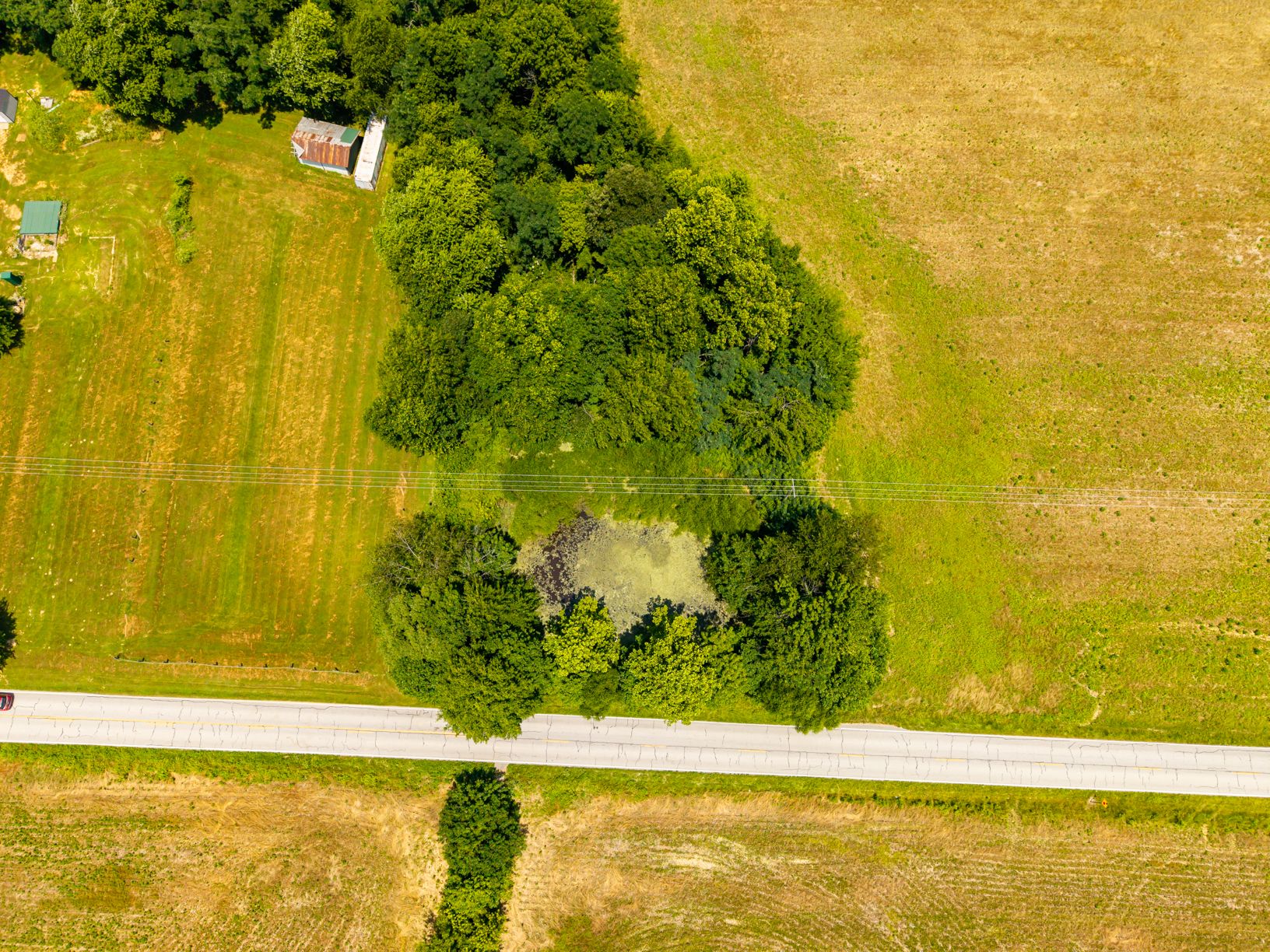 Lot image 11