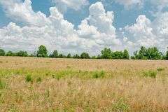 15 +/- acres on Old Hwy 11 Laconia, IN 47135