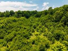25+/- acres Hooptown Rd Laconia, IN 47135