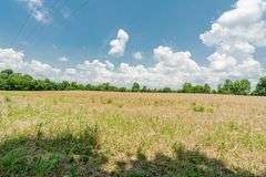 15 +/- acres on Old Hwy 11 Laconia, IN 47135