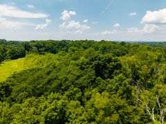 25+/- acres Hooptown Rd Laconia, IN 47135