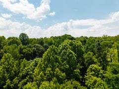25+/- acres Hooptown Rd Laconia, IN 47135
