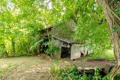 15 +/- acres on Old Hwy 11 Laconia, IN 47135