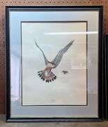 Screech Owl & Kestrel Ray Harm Framed Prints