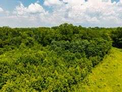 25+/- acres Hooptown Rd Laconia, IN 47135