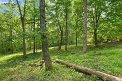 Depauw Barndominium & 3.4 Acre Real Estate Online Auction