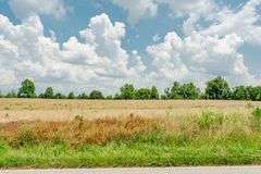 15 +/- acres on Old Hwy 11 Laconia, IN 47135
