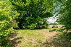 15 +/- acres on Old Hwy 11 Laconia, IN 47135