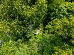 10895 N Tobacco Landing Rd Laconia, IN 47135