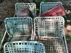 Lawn Chairs & Shop Items