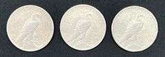 1922 & 1925 Peace Silver Dollars
