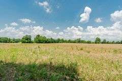 15 +/- acres on Old Hwy 11 Laconia, IN 47135