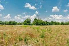 15 +/- acres on Old Hwy 11 Laconia, IN 47135